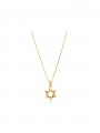 Gold Plated Pendant Necklace Star of David