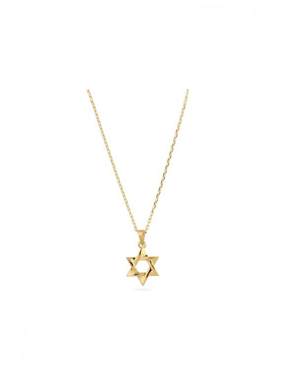 Gold Plated Pendant Necklace Star of David